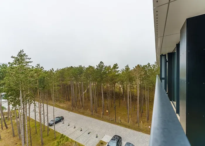 Apartment Shellter In Dunes